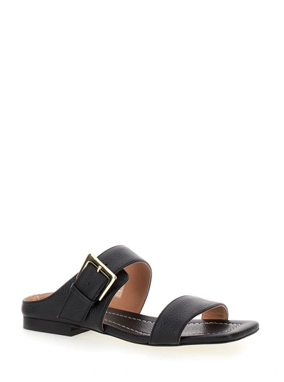 Shop Pollini Black Sandals With Maxi Buckle In Leather Woman
