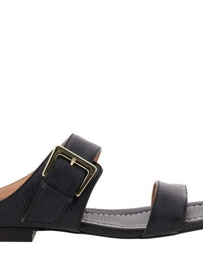 Shop Pollini Black Sandals With Maxi Buckle In Leather Woman