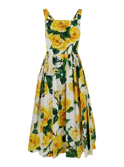 Shop Dolce & Gabbana Yellow Midi Dress With All-over Rose Print In Cotton Woman