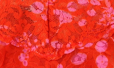 Shop Hanky Panky Signature Lace Original Rise Thong In Orange Crush Print