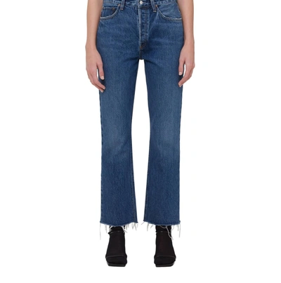 Agolde Jeans In Multi