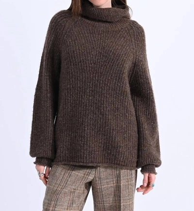 Shop Molly Bracken Chunky Turtleneck Sweater In Brown