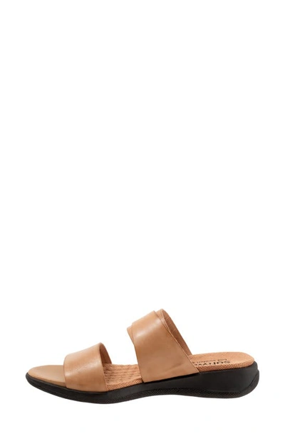 Shop Softwalk Toki Slide Sandal In Tan