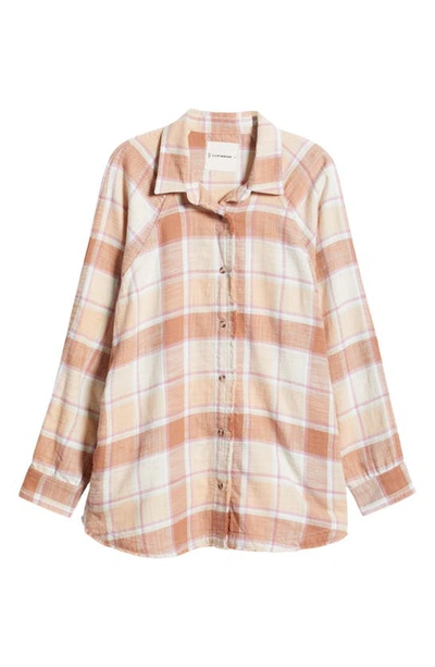 Shop Lucky Brand Distressed Oversize Plaid Cotton Flannel Button-up Shirt In Cafe Au Lait Plaid