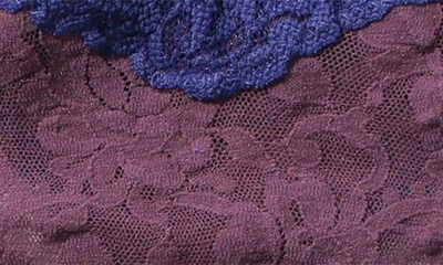 Shop Hanky Panky Signature Lace Original Rise Thong In Blue/ Purple