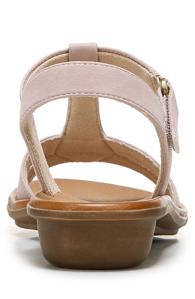 Soul Naturalizer Summer Embellished T-strap Sandal In Mauve