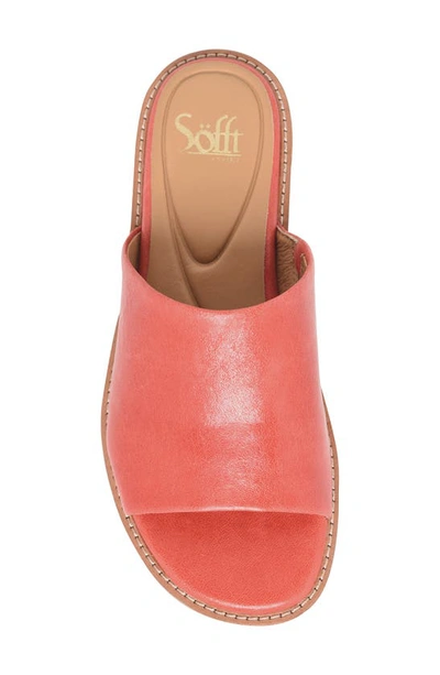 Shop Söfft Noble Slide Sandal In Coral