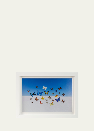 Shop Gray Malin Butterflies Mini Giclee Print