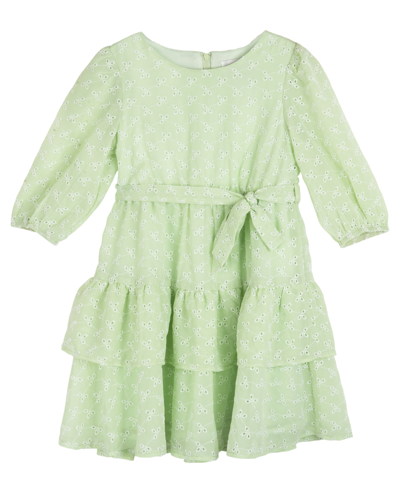 Shop Rare Editions Toddler Girls Tiered Chiffon Eyelet Casual Dress In Green