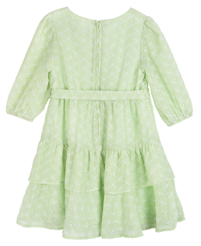 Shop Rare Editions Toddler Girls Tiered Chiffon Eyelet Casual Dress In Green