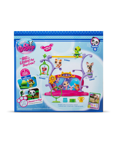 Shop Littlest Pet Shop Pets Got Talent Play Set In Multi Color