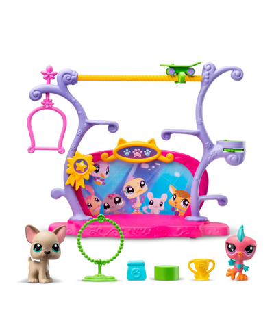 Shop Littlest Pet Shop Pets Got Talent Play Set In Multi Color