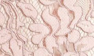 Eliza J Illusion Lace Sheath Dress In Blush