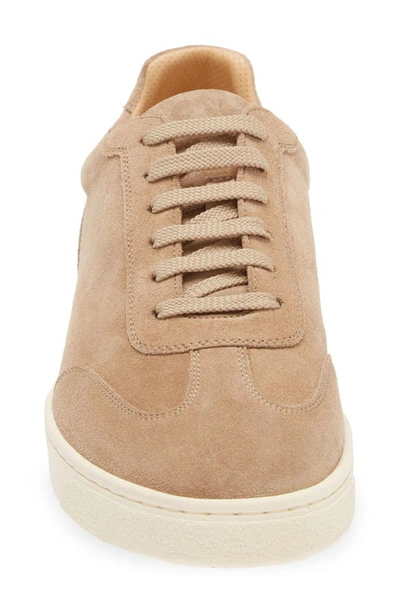 Shop Brunello Cucinelli Suede Low Top Sneaker In Beige