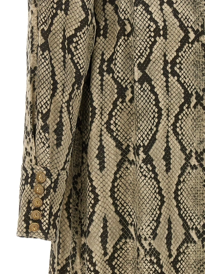 Shop Balmain Python Pattern Shirt Dress Dresses Gray
