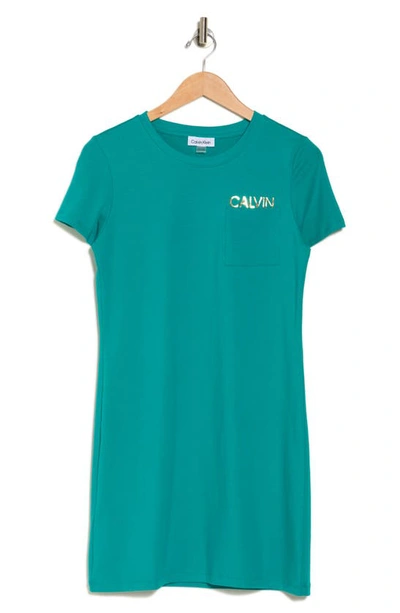 Shop Calvin Klein Logo T-shirt Dress In Jungle