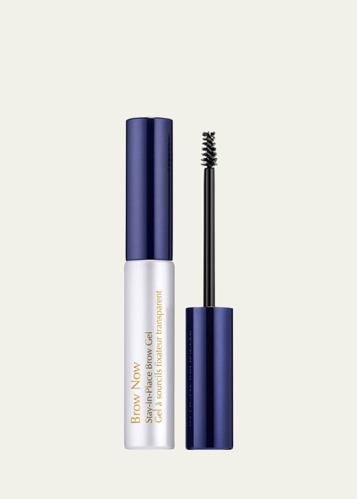 Shop Estée Lauder Brow Now Stay-in-place Brow Gel In Clear