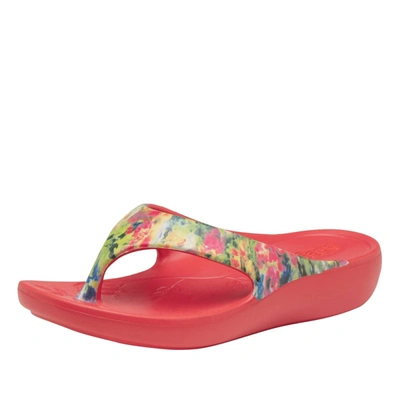 Shop Alegria Women's Ode Sandal In Itchycoo In Multi