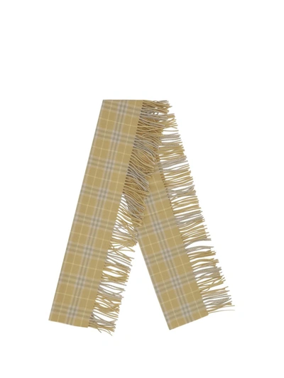 Shop Burberry Scarves In Flax