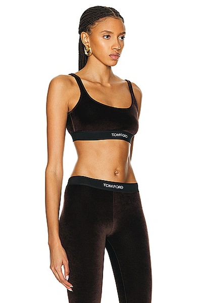 Tom Ford Stretch Lustrous Velour Signature Bralette Clothing In Chocolate Brown