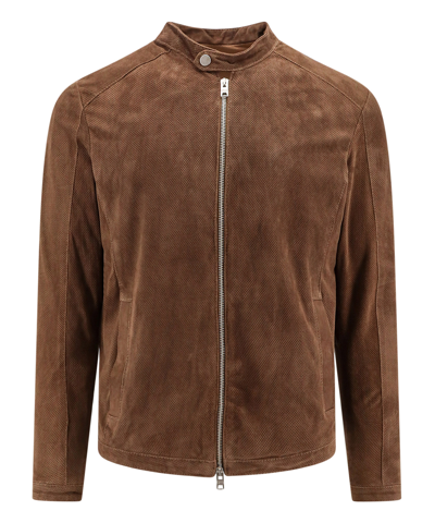 Shop Dfour Leather Jackets In Brown