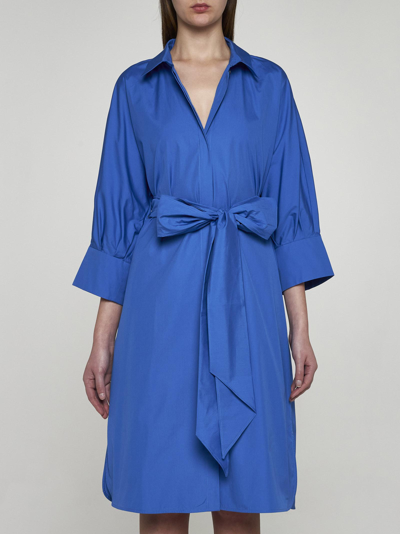 Shop 's Max Mara Tabata Cotton Shirt Dress In Bluette