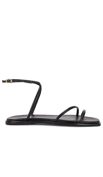 Shop Kaanas Zola Sandal In 黑色