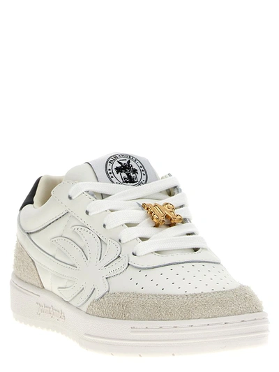 Shop Palm Angels 'palm Beach University' Sneakers In White/black