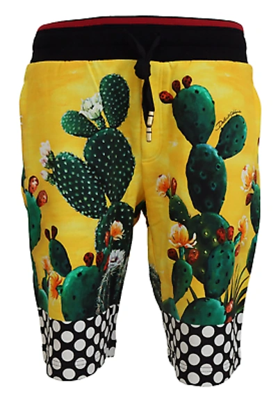Pre-owned Dolce & Gabbana Multicolor Cactus Print Cotton Sweat Shorts
