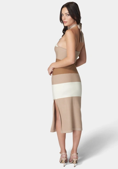 Bebe High Neck Colorblock Rib Midi Dress In Brown,multi
