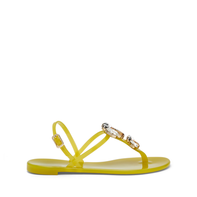 Shop Casadei Jelly - Woman Flats And Loafers Citrine 40