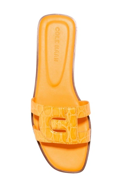 Shop Cole Haan Chrisee Slide Sandal In Saffron
