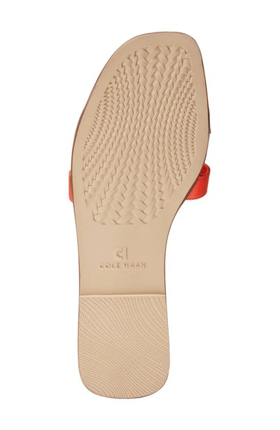 Shop Cole Haan Chrisee Slide Sandal In Nasturtium