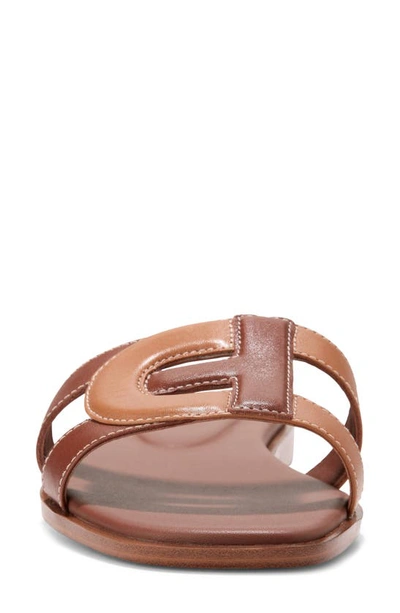 Shop Cole Haan Chrisee Slide Sandal In Dark Chocolate