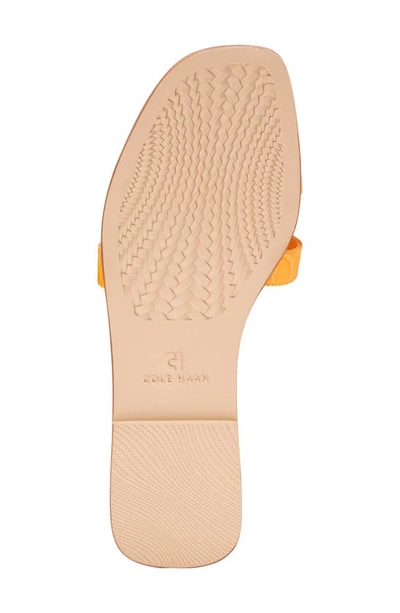 Shop Cole Haan Chrisee Slide Sandal In Saffron