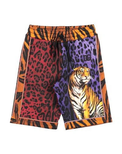 Shop Dolce & Gabbana Toddler Boy Shorts & Bermuda Shorts Purple Size 6 Cotton
