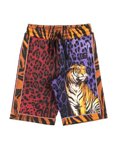 Dolce & Gabbana Toddler Boy Shorts & Bermuda Shorts Purple Size 4 Cotton In Purple