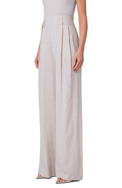 Shop Akris Punto Florina Wide Leg Pants In Cashew