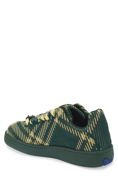 Shop Burberry Check Knit Box Sneaker In Primrose Ip Check