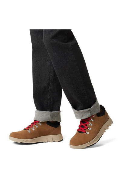 Shop Sorel Mac Hill™ Lite Low Profile Waterproof Hiker Shoe In Elk/ Black