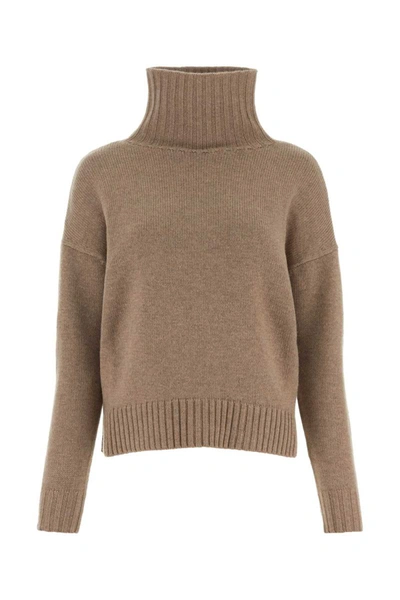 Shop Max Mara Knitwear In Brown