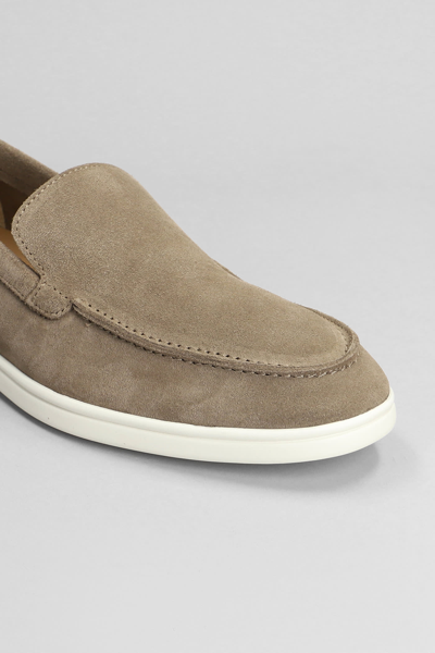 Shop National Standard Edition 11 Low Loafers In Brown Suede