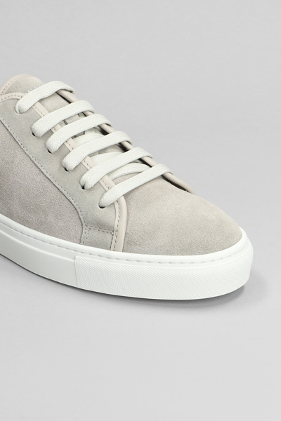 Shop National Standard Edition 3 Low Sneakers In Grey Suede
