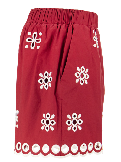 Shop Red Valentino Cotton Shorts With Sangallo Embroidery In Cherry