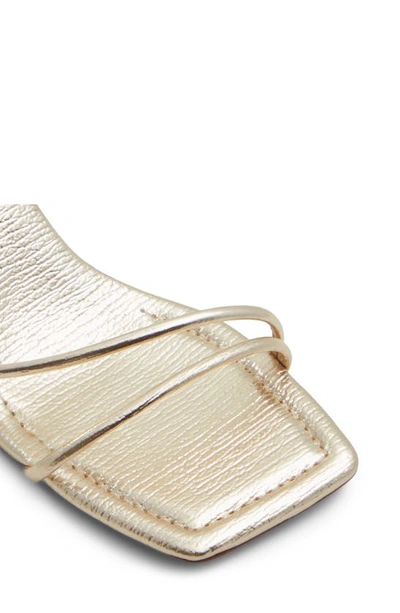 Shop Aldo Harmonni Ankle Strap Sandal In Gold