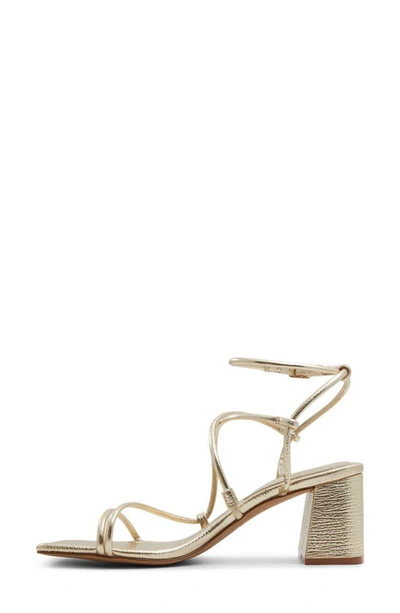Shop Aldo Harmonni Ankle Strap Sandal In Gold