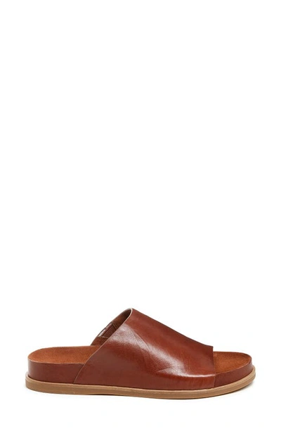 Kelsi Dagger Brooklyn Squish Water Resistant Slide Sandal In Cider