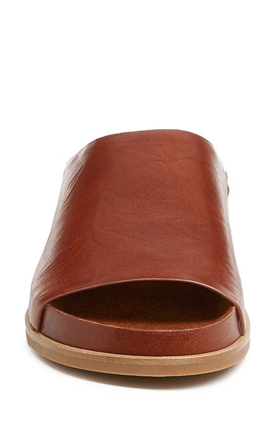 Kelsi Dagger Brooklyn Squish Water Resistant Slide Sandal In Cider
