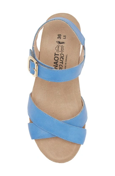 Naot Throne Wedge Sandal In Sapphire Blue
