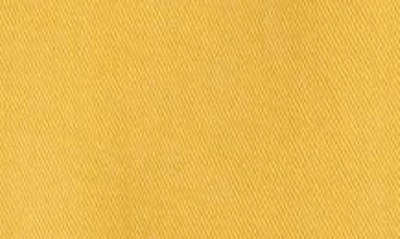 Bode Yellow Knolly Brook Trousers In Yellow